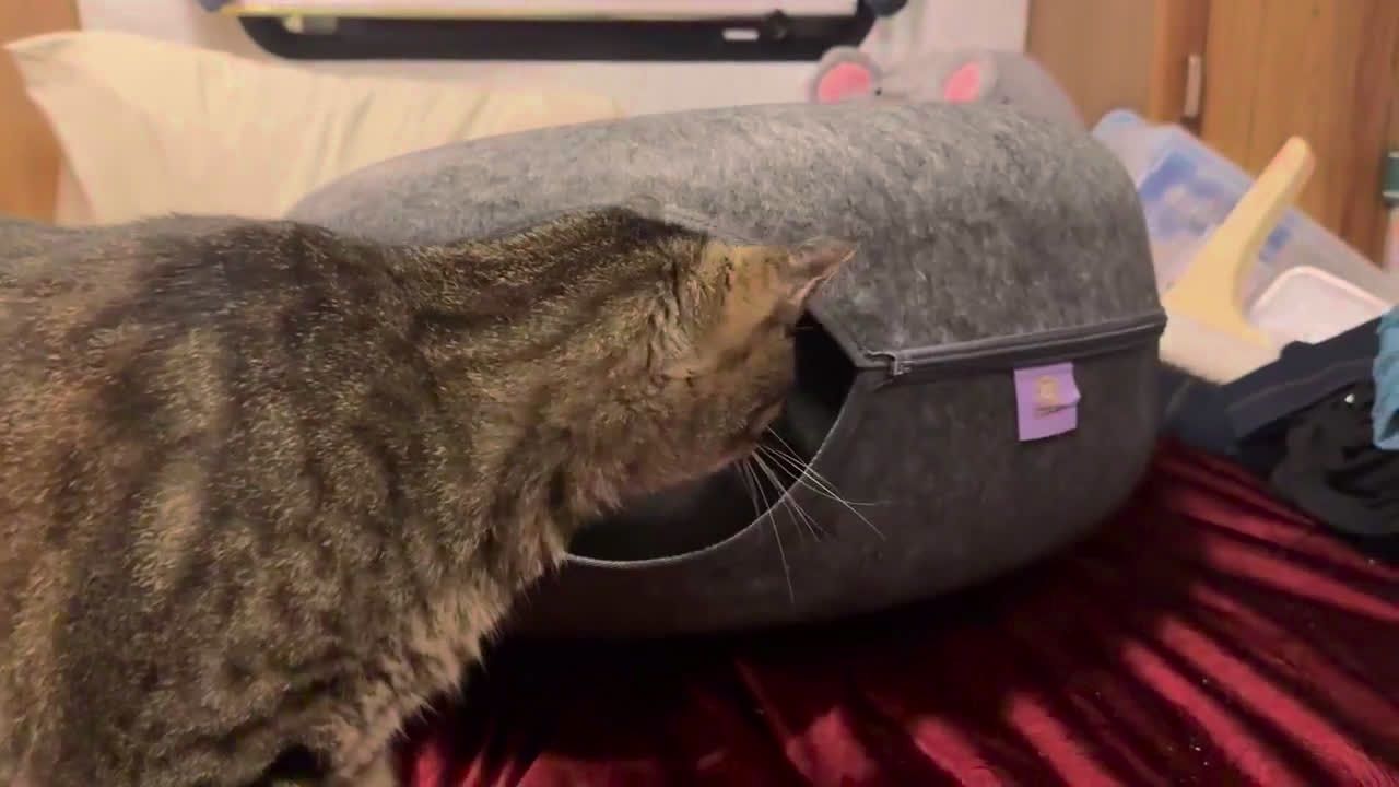 Great quality and very sturdy.