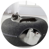 Perfect Balance of Play & Comfort