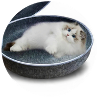 Safe, Comfortable & Durable