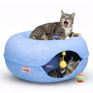 peekaboo cat tunnel bed with hanging ball toy blue