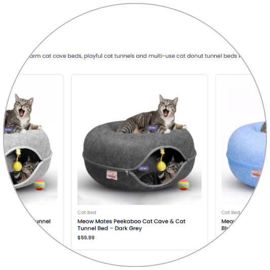 Go to product section